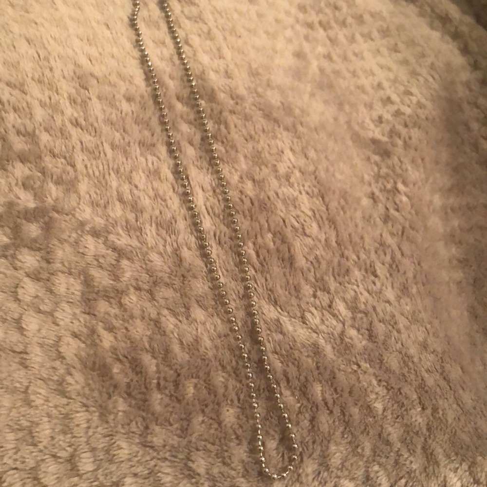 Silver Ball chain